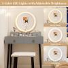 CHARMAID Vanity Desk with Mirror and Lights, White Makeup Vanity Desk with 4 Drawers, 3 Color Lighting Modes, Adjustable Brightness, Modern Dressing Table with Vanity Stool for Girls Small Bedroom(Gray + Black)