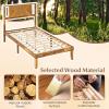 Giantex Full Size Bed Frame – Acacia Wood Platform Bed Frame with Headboard, 12 Strong Slats Support, Under-Bed Space, No Box Spring Needed, Rustic Golden Brown(Twin)