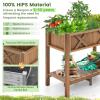 Giantex HIPS Raised Garden Bed, Elevated Planter Box w/Legs, Storage Shelf, Drainage Holes, Weather-Proof Standing Raised Beds for Backyard Porch Flower Herb (Coffee, 44″ x 18″ x 29″)(Coffee)