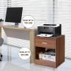 Giantex Walnut Nightstand, Farmhouse Bedside Table with Drawer and Open Storage Cabinet, Wood Night Stand, 2-Tier Sofa Side Table for Bedroom Office, Walnut(Walnut)