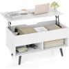 Giantex Lift Top Coffee Table, Modern Cocktail Table w/Hidden Compartment & 2 Open Shelves, Flip Top Center Table, Wooden Pull up Coffee Table for Living Room, Reception Room, Office (Black)(White)