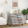 Giantex 20-Drawer Storage Drawer Cart, Rolling Organizer Cart for Office School Tools Scrapbook Paper, Utility Rack on Wheels (Multicolor)(Clear)