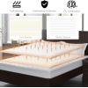 Giantex Heated Mattress Pad Queen Size, Electric Heated Mattress Cover w/ 10 Heat Setting, 8 Hours Auto Off, Timer Function, Dual Temperature Control, Premium Electric Bed Warmer Up to 15″ Deep Pocket(Queen)