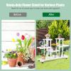 Giantex Rolling Flower Rack Wood Plant Stand on Wheels 6 Wood Shelves 12 Pots Bonsai Display Shelf Indoor Outdoor Yard Garden Patio Balcony Living Room Storage Rack Bookshelf Hollow Shelves (White)(White)