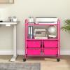 Giantex Rolling Storage Cart with 10 Drawers, Utility Cart with Tabletop, Drawer Organizer with Wheels for Craft Art Paper Tool, Mobile Organization & Sorting for Office Home School School Supplies(Hot Pink)