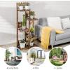 Giantex Wood Plant Stand Rack 5 Tier 6 Potted, Multiple Plant Stand Flower Pots Holder Display Shelf Rack Planter Indoor Outdoor for Garden Corner Balcony Patio Living Room(24 x 10 x 51.5 inches)