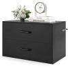 Giantex Stackable 2-Drawer Dressers for Bedroom – Short Dresser Two Drawer Storage Cabinet w/Handles & Anti-Topping Device, Small Dresser Chest of 2 Drawers for Closet Bedroom (1, White)(Black)