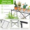Giantex 2 Tier Stair Style Metal Plant Stand, Flower Pot Display Holder with Widened Grid Rack, Indoor Outdoor Multifunctional Storage Organizer Ladder Shelf for Garden Balcony Yard