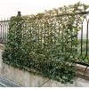 Giantex Artificial Faux Ivy Privacy Fence, 118″x59″ Artificial Hedge Faux Ivy Vine Leaf Greenery Wall Screen, Decorative Trellis Fence Covering for Outdoor Porch Garden Patio(95”x59″)