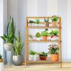 Giantex Bamboo Ladder Plant Stand, 3 Tier Folding Bamboo Plant Shelf, Foldable Flower Pot Display Shelf Rack, Multiple Plants Holder Organizer Storage Shelf for Indoor Outdoor Balcony Garden (Natural)(Natural)