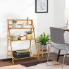Giantex Bamboo Ladder Plant Stand, 3 Tier Folding Bamboo Plant Shelf, Foldable Flower Pot Display Shelf Rack, Multiple Plants Holder Organizer Storage Shelf for Indoor Outdoor Balcony Garden (Natural)(Natural)