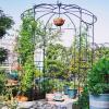 Giantex Birdcage Shape Gazebo – 9.4′ H x 6.8′ W Metal Arch Trellis for Climbing Plants Clematis Vines, French Style Pergola Pavilion Garden Arbor for Weddings Photoshoots Ceremony Party Outdoor Decor