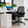 Giantex Ergonomic Mid-Back Mesh Computer Chair w/Lumbar Support, Flip-up Armrests, Height Adjustable Swivel Task Chair for Home Office, Black(Black)