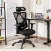 Giantex Ergonomic Office Chair with Adjustable Lumbar Support, Armrests and Headrest, High Back Computer Desk Chair with Casters, Swivel Executive Mesh Chair for Home Office (Black)(Black)