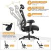 Giantex Ergonomic Office Chair with Adjustable Lumbar Support, Armrests and Headrest, High Back Computer Desk Chair with Casters, Swivel Executive Mesh Chair for Home Office (Black)(Black)