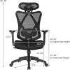 Giantex Ergonomic Office Chair with Adjustable Lumbar Support, Armrests and Headrest, High Back Computer Desk Chair with Casters, Swivel Executive Mesh Chair for Home Office (Black)(Black)