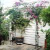 Giantex Garden Arch Trellis – 7.9 ft Metal Arbor Pergola for Climbing Plants Rose Clematis Vines, Wedding Archway Arbour for Party Ceremony Backdrop Stand Outdoor Garden Yard Lawn Decoration