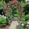 Giantex Garden Arch Trellis, 7.5FT High x 4.6FT Wide, Metal Garden Arbor Rose Arch for Climbing Plants, Wedding Archway with Stakes, Outdoor Trellises Pergola for Lawn Bridal Party Decoration