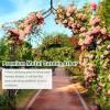 Giantex Metal Garden Arbor Wedding Arch, 9.5 Ft High x 4.1 Ft Wide, Pergola Arbor for Climbing Plant Roses Vines, Indoor Outdoor Garden Patio Bridal Party Decoration Wedding Arch(1)