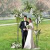 Giantex Metal Garden Arch Trellis – 9.5 FT Wedding Arbor for Ceremony, Garden Arbor for Climbing Plants Rose, Gothic Style Outdoor Archway for Lawn Backdrop Backyard Party Decoration
