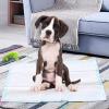 Giantex Puppy Pee Pads 200 Count, 24”x24” Dog Potty Pads, Powerful Absorbency, 5-Layer Design, Leak-Proof Disposable Pet Piddle Training Pad for Dogs Doggie Cats Rabbits(36”x24”)