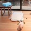 Giantex Puppy Pee Pads 200 Count, 24”x24” Dog Potty Pads, Powerful Absorbency, 5-Layer Design, Leak-Proof Disposable Pet Piddle Training Pad for Dogs Doggie Cats Rabbits(18”x13”)