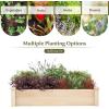 Giantex Wooden Raised Garden Bed with 2 Planter Boxes & Dividers, 90″x25″x10″ Raised Bed for Flowers Vegetables Fruits Herbs Gardening Planting, Outdoor Garden Box for Patio Backyard Lawn (1)(48″x24″x10″)