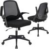 Giantex Ergonomic Mid-Back Mesh Computer Chair w/Lumbar Support, Flip-up Armrests, Height Adjustable Swivel Task Chair for Home Office, Black(Black)