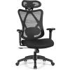 Giantex Ergonomic Office Chair with Adjustable Lumbar Support, Armrests and Headrest, High Back Computer Desk Chair with Casters, Swivel Executive Mesh Chair for Home Office (Black)(Black)