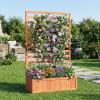 Giantex Raised Garden Bed with Trellis, Wood Planter Box for Flower Climbing, Standing Vertical Indoor Outdoor Plant Container for Garden Balcony Patio Yard Porch, 31.5″x16″x68″(Cedar Brown)