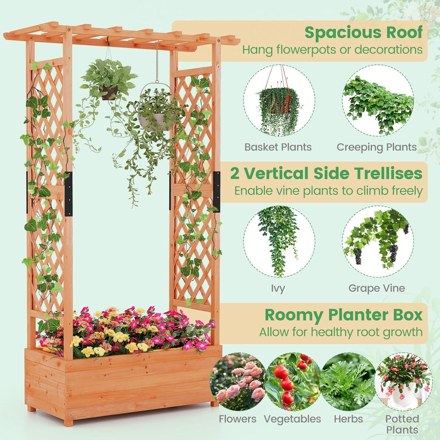 image:imageGiantex Raised Garden Bed with Trellis amp Hanging Roof Wood Planter Box with Bottom and Drainage Holes Freestanding Garden Planter for Flower Vegetable Fruit Herb Climbing Vines 79 x 175 x 451