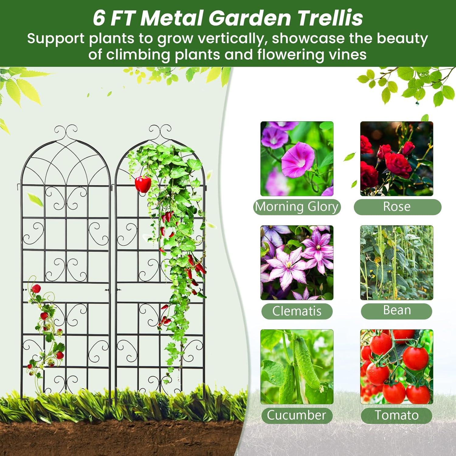 image:imageGiantex 2 Pack Trellis for Climbing Plants Outdoor 7 FT Tall Galvanized Steel Garden Trellis for Patio Lawn Wall Decor Plant Trellis for Vine Cucumber Tomato Flower Clematis Roses71x202 Pack