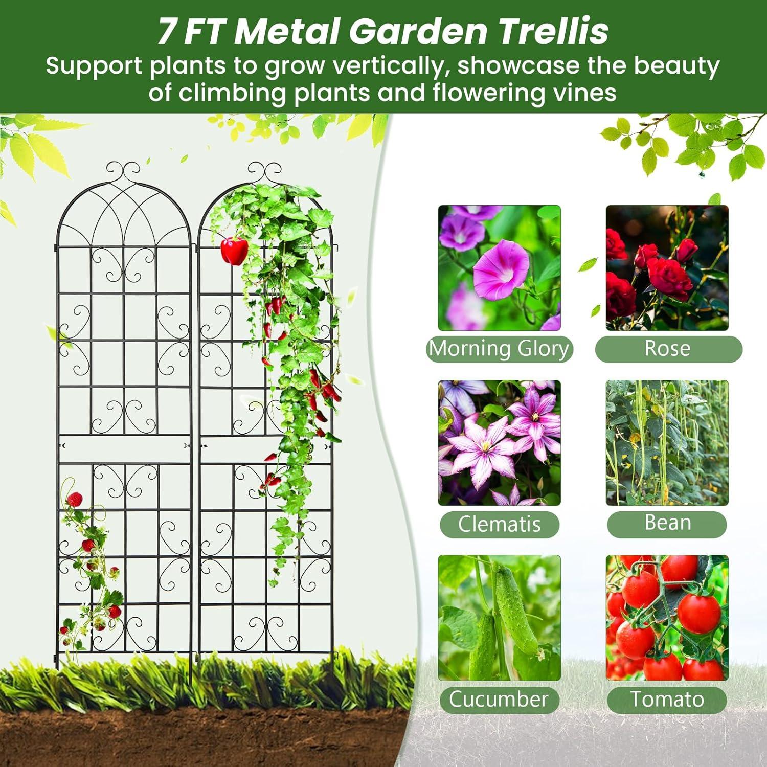 image:imageGiantex 2 Pack Trellis for Climbing Plants Outdoor 7 FT Tall Galvanized Steel Garden Trellis for Patio Lawn Wall Decor Plant Trellis for Vine Cucumber Tomato Flower Clematis Roses87x202 Pack