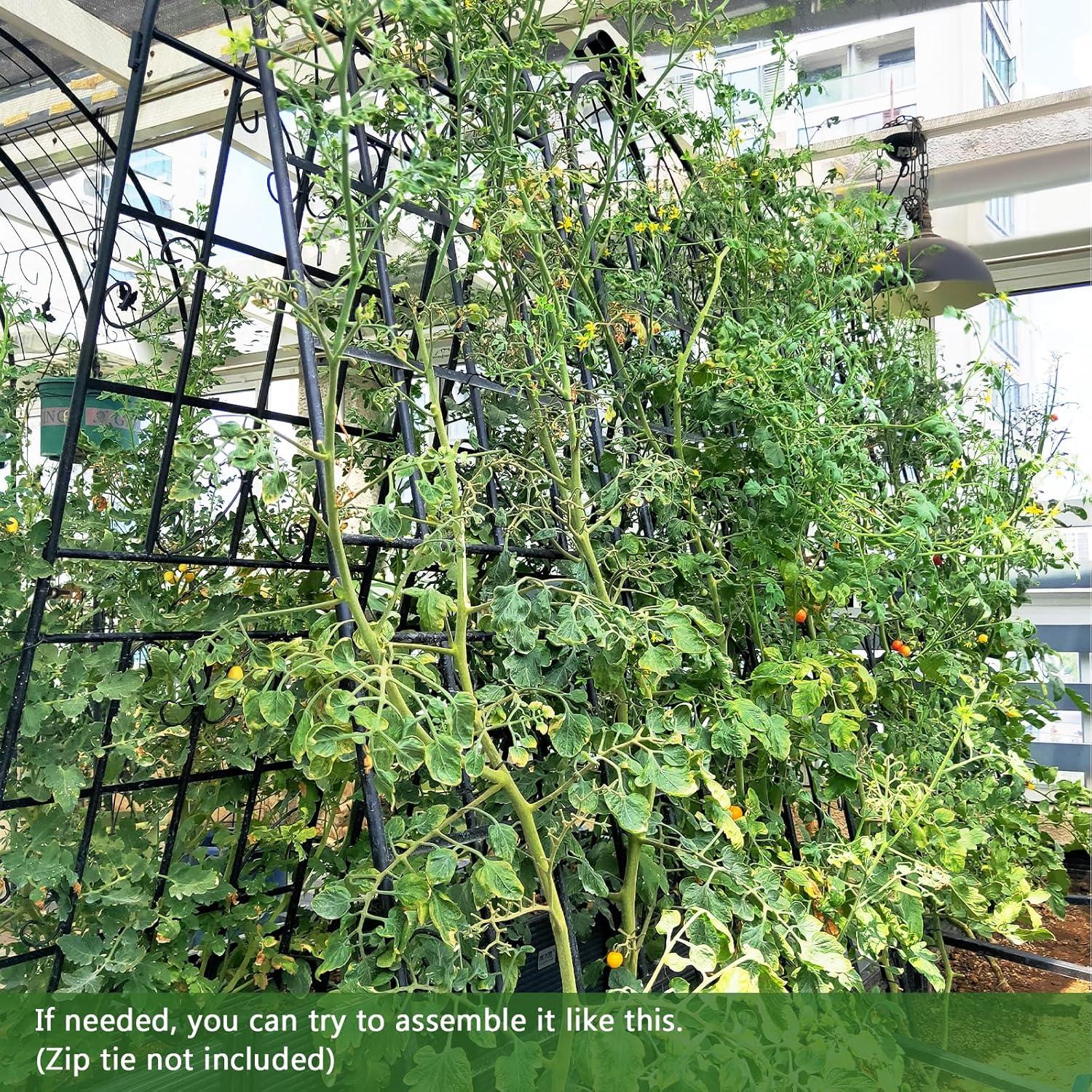 image:imageGiantex 2 Pack Trellis for Climbing Plants Outdoor 7 FT Tall Galvanized Steel Garden Trellis for Patio Lawn Wall Decor Plant Trellis for Vine Cucumber Tomato Flower Clematis Roses71x204 Pack