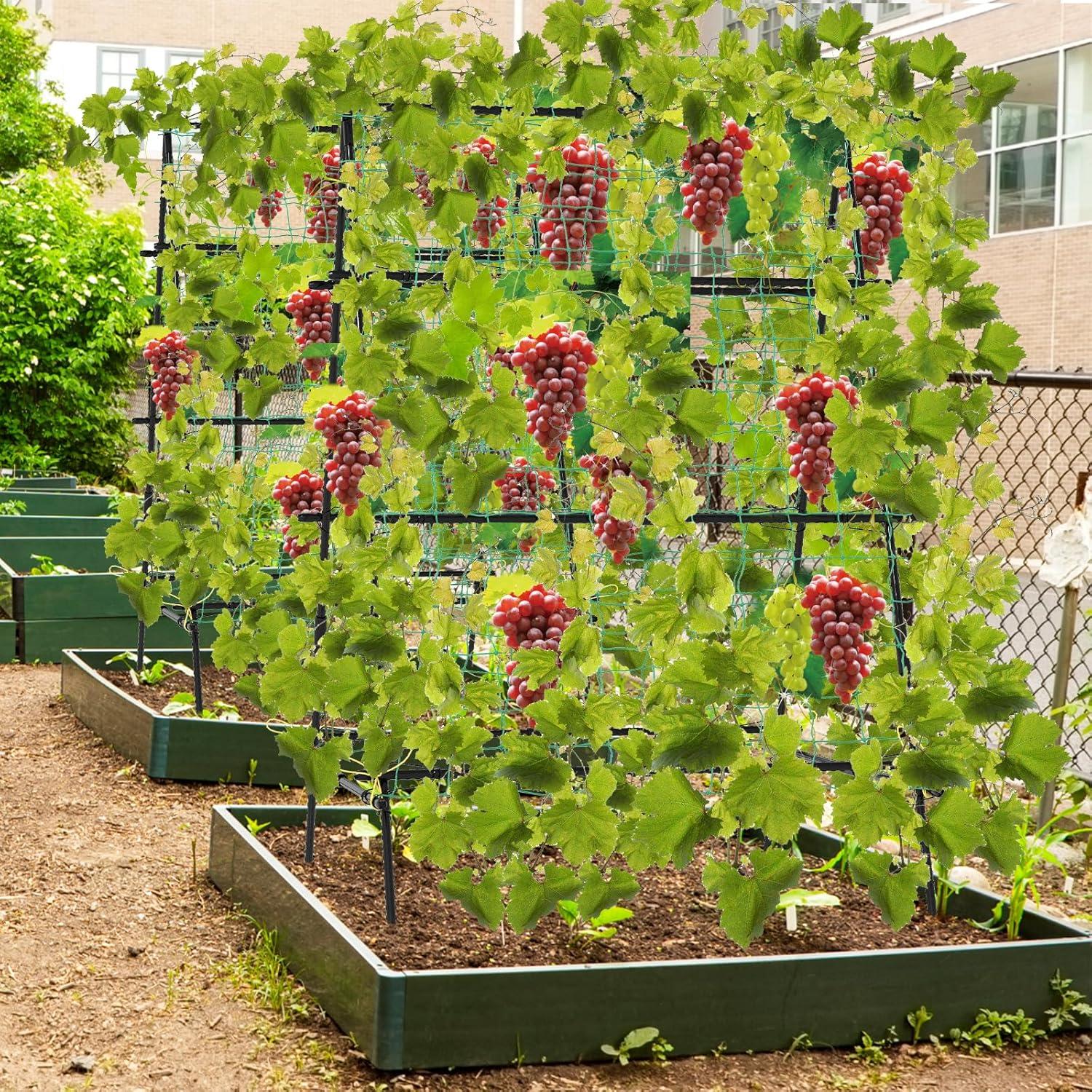 image:imageGiantex Cucumber Trellis Trellis for Climbing Plants Outdoor Garden Trellis wNetting PECoated Metal Clips Plant Support for Flower Vine Grape Vegetable Fruit Adjustable Shape 31x 26x7441x51x59