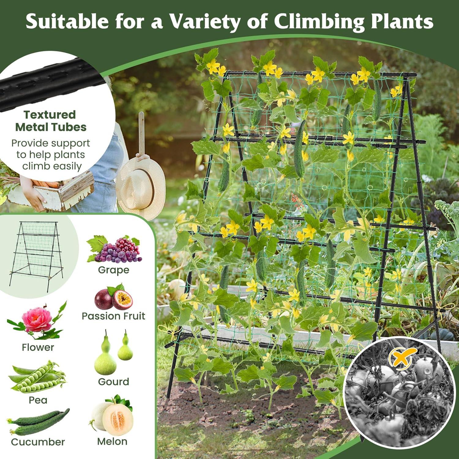 image:imageGiantex Cucumber Trellis Trellis for Climbing Plants Outdoor Garden Trellis wNetting PECoated Metal Clips Plant Support for Flower Vine Grape Vegetable Fruit Adjustable Shape 31x 26x7441x51x59
