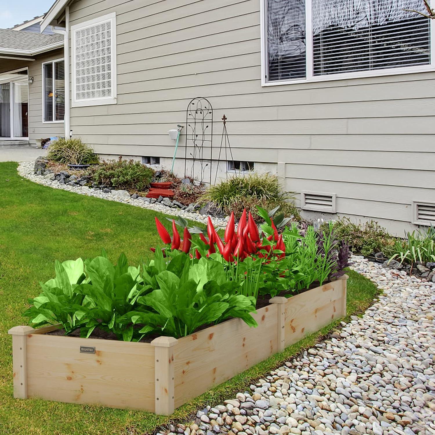 image:imageGiantex Raised Garden Bed 95 Lx24 Wx10 H Outdoor Wood Planter Box for Vegetables Flowers Herbs Fruits EasyAssembly Wooden Planter Raised Bed for Backyard Garden Lawn