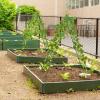 Giantex 2 Pack Garden Trellis, 5.9 FT Tall Galvanized Steel Trellis for Climbing Plants Outdoor for Patio Lawn Wall Decor, Plant Trellis for Vine Cucumber Tomato Flower Clematis Roses, White(Green)