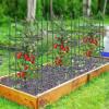 Giantex 3-Pack Tomato Cages, 60”Hx20” PE-Coated Metal Plant Cages & Supports w/Adjustable Height, 2-in-1 Round Trellis for Climbing Flower Vegetable Fruit, Potted Plant(20”Dia x 40”H (Pack of 3))
