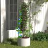 Giantex 3-Pack Tomato Cages, 60”Hx20” PE-Coated Metal Plant Cages & Supports w/Adjustable Height, 2-in-1 Round Trellis for Climbing Flower Vegetable Fruit, Potted Plant(20”Dia x 60”H (Pack of 3))