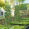 Giantex 3-Pack Tomato Cages, 60”Hx20” PE-Coated Metal Plant Cages & Supports w/Adjustable Height, 2-in-1 Round Trellis for Climbing Flower Vegetable Fruit, Potted Plant(12”Dia x 57”H (Pack of 2))