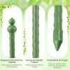 Giantex 3-Pack Tomato Cages, 60”Hx20” PE-Coated Metal Plant Cages & Supports w/Adjustable Height, 2-in-1 Round Trellis for Climbing Flower Vegetable Fruit, Potted Plant(12”Dia x 57”H (Pack of 2))