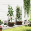 Giantex 3-Pack Tomato Cages, 60”Hx20” PE-Coated Metal Plant Cages & Supports w/Adjustable Height, 2-in-1 Round Trellis for Climbing Flower Vegetable Fruit, Potted Plant(20”Dia x 60.5”H (Pack of 3))