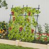 Giantex Cucumber Trellis, Trellis for Climbing Plants Outdoor, Garden Trellis w/Netting, PE-Coated Metal, Clips, Plant Support for Flower Vine Grape Vegetable Fruit, Adjustable Shape, 31″x 26″x74″(31″x26″x74″)