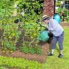 Giantex Cucumber Trellis, Trellis for Climbing Plants Outdoor, Garden Trellis w/Netting, PE-Coated Metal, Clips, Plant Support for Flower Vine Grape Vegetable Fruit, Adjustable Shape, 31″x 26″x74″(31″x26″x74″)