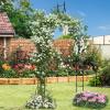 Giantex Metal Garden Arch Trellis 2 Pack – 9.5 FT Wedding Arbor for Ceremony, Garden Arbor for Climbing Plants Rose, Gothic Style Outdoor Archway for Lawn Backdrop Backyard Party Decoration