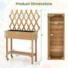 Giantex Raised Garden Bed on Wheels, Rolling Planter Boxes with Trellis, Storage Shelf & Black Liner, Indoor Outdoor Wood Raised Bed for Flower Climbing Vine, 36”x12”x51”
