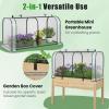 Giantex Raised Garden Bed with Cover, Wood Elevated Planter Box with Legs & Mini Greenhouse, Waterproof Sun-Protective PE Green House Cover, Outdoor Use for Fruit Vegetable Flower Herb (White+Gray)(White+natural)