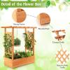 Giantex Raised Garden Bed with Trellis, Wood Planter Box with Roof & Side Trellis, Drain Holes, Elevated Raised Bed with Trellis for Climbing Plant and Pot Hanging, Indoor Outdoor Patio Balcony