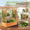 Giantex Raised Garden Bed with Trellis, Wood Planter Box with Roof & Side Trellis, Drain Holes, Elevated Raised Bed with Trellis for Climbing Plant and Pot Hanging, Indoor Outdoor Patio Balcony